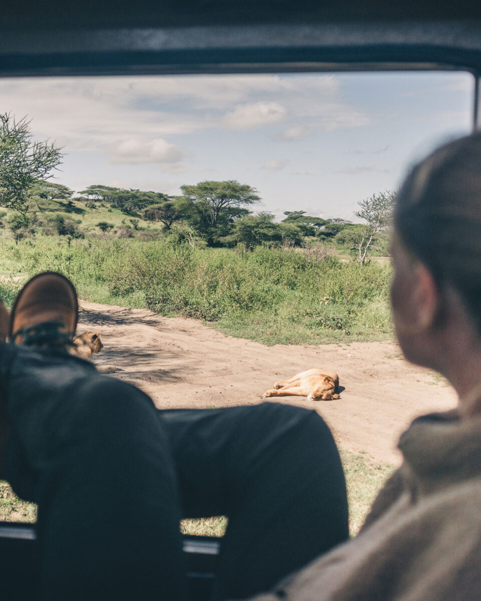 Holding the line: Inside the battle to save Hwange’s wildlife corridor