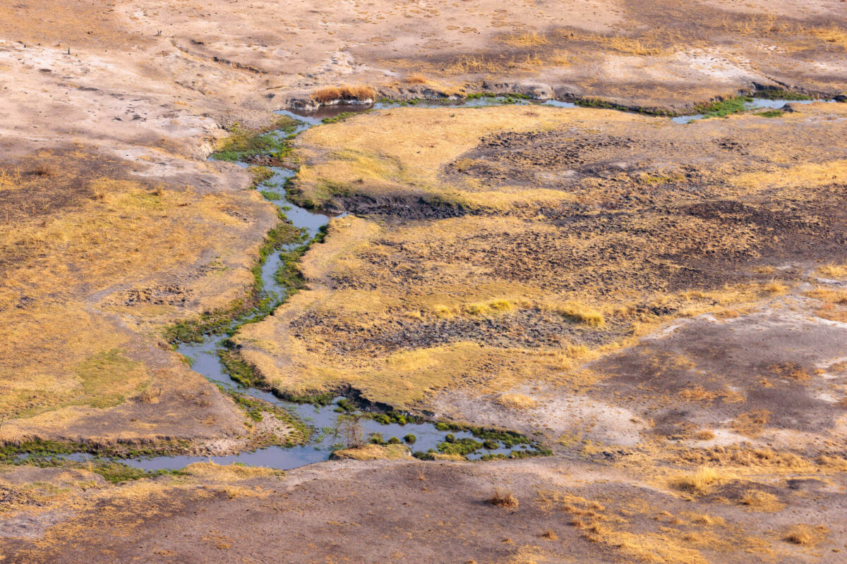 South Luangwa Valley wilderness landscape