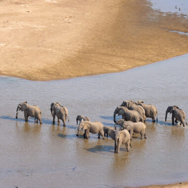 Holding the line: Inside the battle to save Hwange’s wildlife corridor
