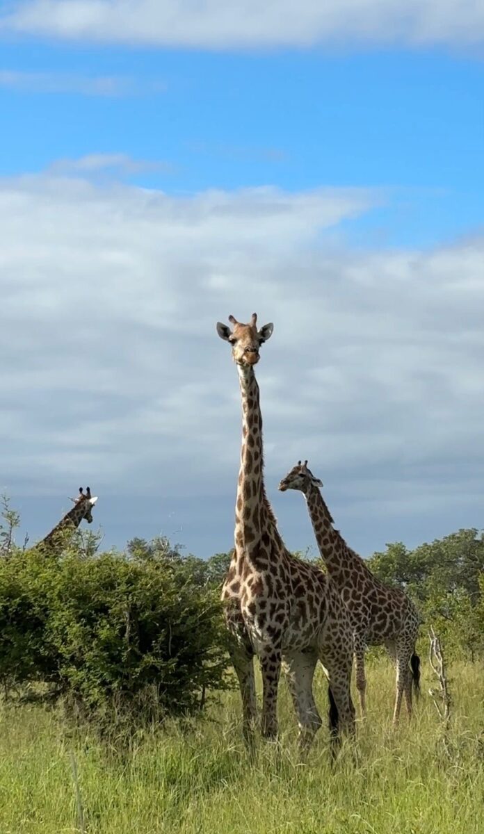 Tracker Academy classroom session outdoors under trees