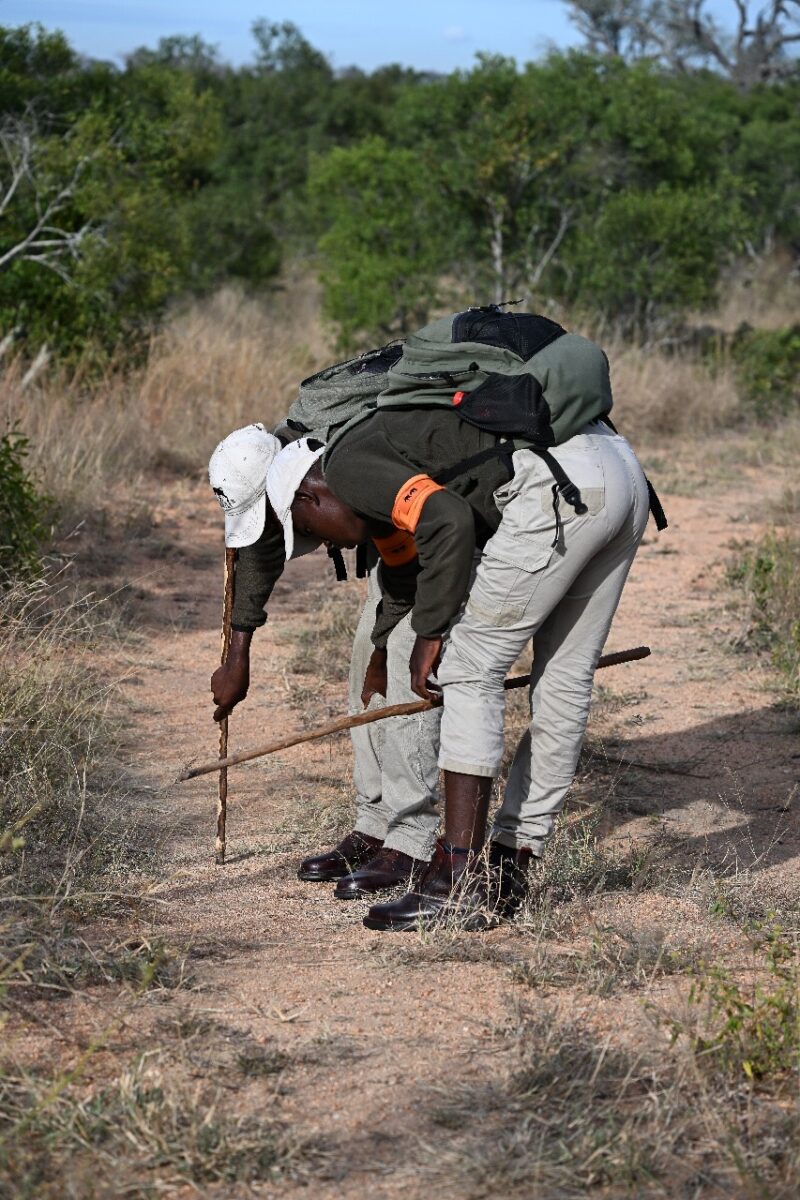 Rhino Guardians team wearing Jim Green boots during training