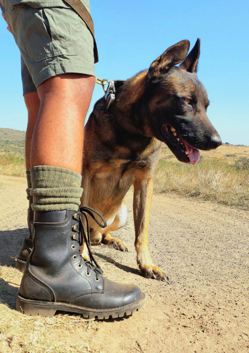 KwaZulu-Natal savanna and rhino habitat