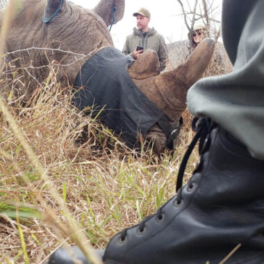 Beyond the Thornveld, inside the fight to protect North West’s wild heart